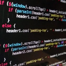 developpeur web