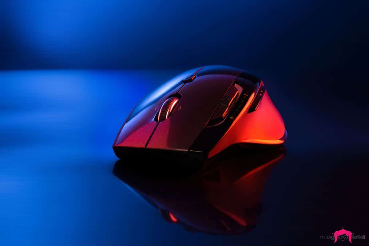 choix meilleures souris gamer